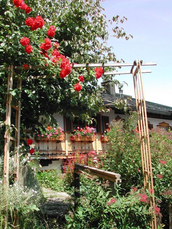 라이트임윙클 Haus Hubertus 아파트 외부 사진
